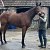 A Quietly Promising Run at Exeter